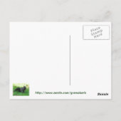 ディルピクルレシピはがき ポストカード (裏面)