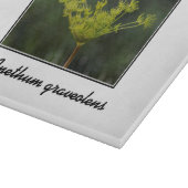 ディル雑草の喜び カッティングボード (角)