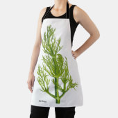 ディル エプロン (インサイチュ)