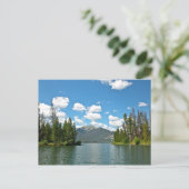 ディロンリザーババイカヌー ポストカード (スタンド正面)