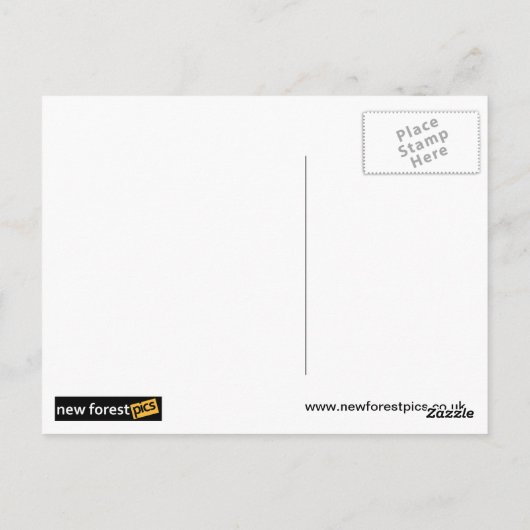 ディンキー ポストカード (裏面)