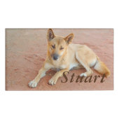 ディンゴの名札 名札 (正面)