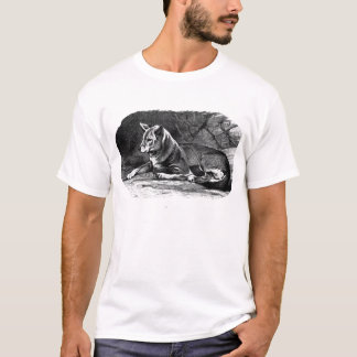 ディンゴ Tシャツ