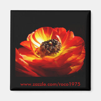 ディンザ マグネット