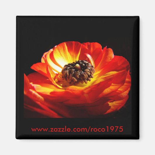 ディンザ マグネット (正面)