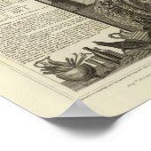 ディンドレ部とヤマネ部 ポスター (角)