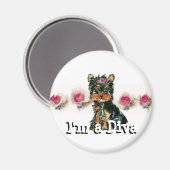 ディヴァ磁石 マグネット (正面/裏面)