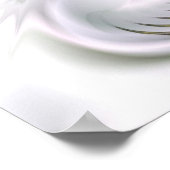 ディヴァ ポスター (角)