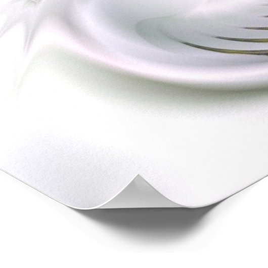 ディヴァ ポスター (角)