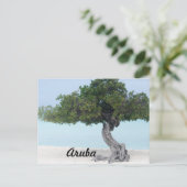 ディヴィディヴィの木 ポストカード (スタンド正面)