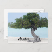 ディヴィディヴィの木 ポストカード (正面/裏面)