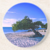 ディヴィディヴィツリーサンドストーンコースター コースター (正面)