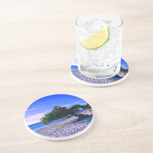 ディヴィディヴィツリーサンドストーンコースター コースター (側面)