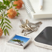 ディヴィディヴィツリー、イーグルビーチ、アルバカリブの、 キーホルダー (側面)