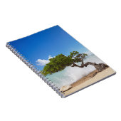 ディヴィディヴィツリー、イーグルビーチ、アルバカリブの、 ノートブック (右側)