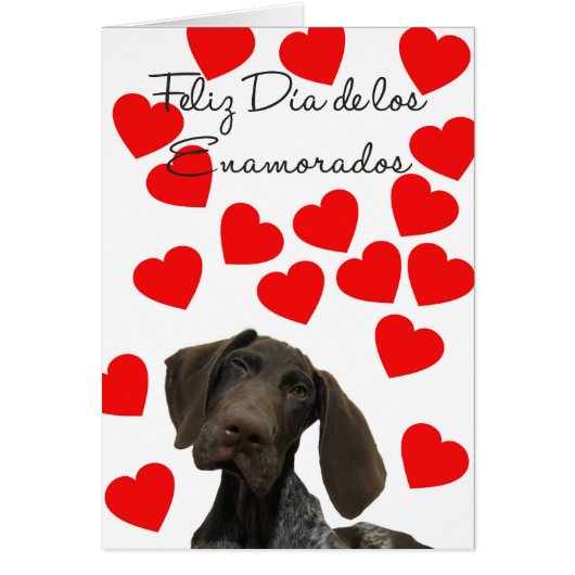 ディーアスペインのエナモラドスツジャリーグリズリーバレンタイン (正面)