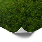 ディーア・ケルト・クロスへのディサート ポスター (角)