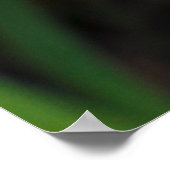 ディートアフリカンアイリスフォーナイトリリー ポスター (角)