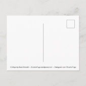 ディーノの狩り- 案内ポストカード (裏面)