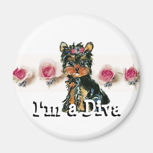 ディーバ・マグネット マグネット (正面)