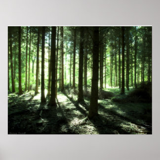 ディープフォレスト ポスター