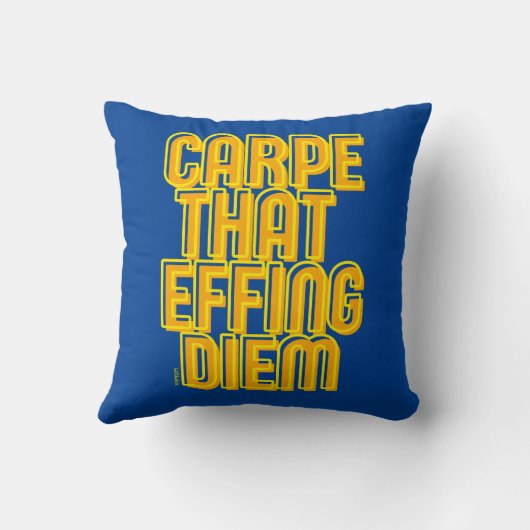 ディームラテン引用文を消すおもしろいカルペ クッション (裏面)