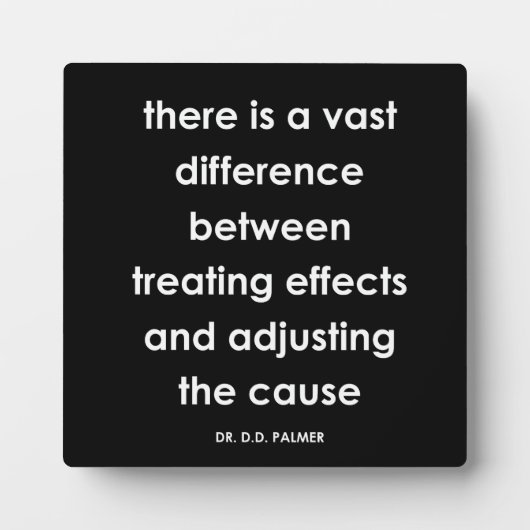 ディー・ディーパーマーカイロプラクティック引用文系プラーク フォトプラーク (正面)