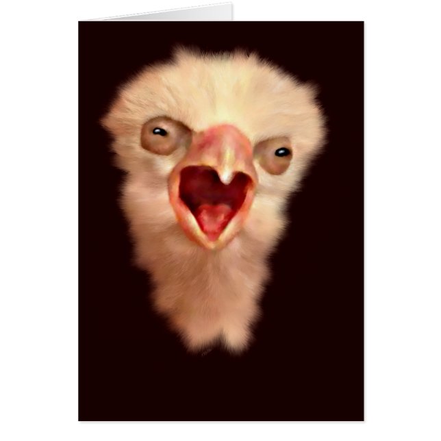 デイオールド《鳥》ハヤブサシック (正面)