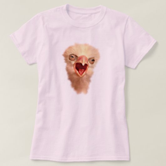 デイオールド《鳥》ハヤブサシック Tシャツ (デザイン正面)