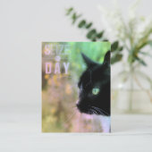 デイキャットを捕まえる ポストカード (スタンド正面)