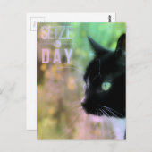 デイキャットを捕まえる ポストカード (正面/裏面)