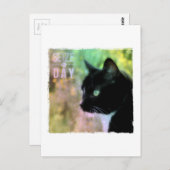 デイキャットを捕まえる ポストカード (正面/裏面)