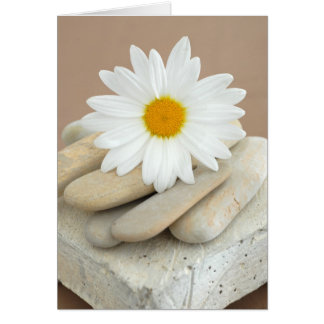 デイジーおよび石