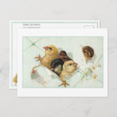 デイジーお洒落と挨拶を持つイースターチックス ポストカード (正面/裏面)