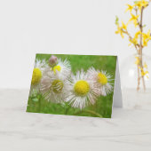 デイジーかわいらしとして カード (黄色い花)