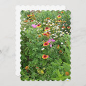 デイジーその他の花フラットカード (正面/裏面)