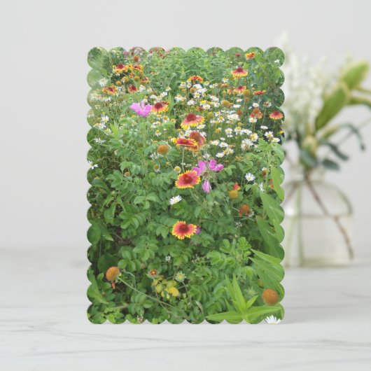 デイジーその他の花フラットカード (スタンド正面)