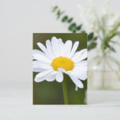 デイジーだ ポストカード (スタンド正面)