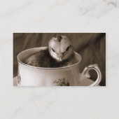 デイジーとチックス 名刺 (裏面)