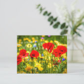 デイジーとポピスアート ポストカード (スタンド正面)