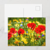 デイジーとポピスアート ポストカード (正面/裏面)