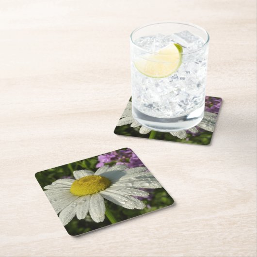 デイジーと夏の薄紫ワイルドフラワー スクエアペーパーコースター (インサイチュ)