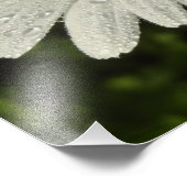 デイジーと夏の薄紫ワイルドフラワー フォトプリント            (角)