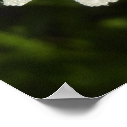 デイジーと夏の薄紫ワイルドフラワー ポスター (角)