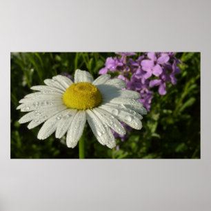 デイジーと夏の薄紫ワイルドフラワー ポスター