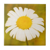 デイジーと寂しい夏 タイル (正面)