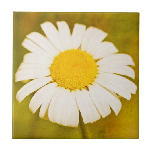 デイジーと寂しい夏 タイル (正面)