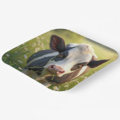 デイジーと緑の牧草地のホルスタイン牛 ペーパープレート (傾斜あり)