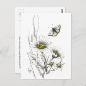 デイジーと蝶はがき ポストカード (正面/裏面)