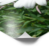 デイジーと雑草ワイルドフラワー フォトプリント (角)